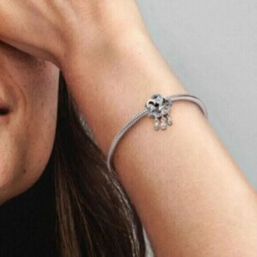 Pandora Cloud & Swallow Charm
